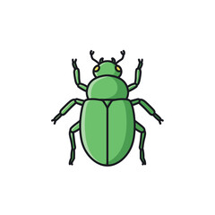 Green beetle illustration.