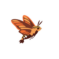 Illustration of a Hummingbird Moth in Flight.
