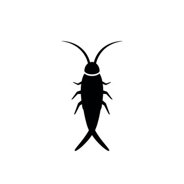 Silverfish insect silhouette pest control vector icon.