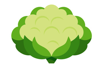 Stylized flat design of a fresh cauliflower vegetable silhouette