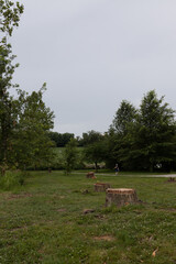 Tornado damage in Forest Park, St. Louis, Missouri after May 16, 2025 tornado