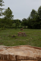 Tornado damage in Forest Park, St. Louis, Missouri after May 16, 2025 tornado