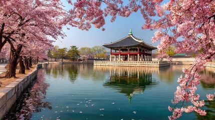 Obraz premium Gyeongbokgung Palace, Cherry Blossoms, Reflection, Serene Spring Landscape, Korea.