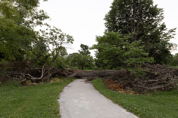 Tornado damage in Forest Park, St. Louis, Missouri after May 16, 2025 tornado