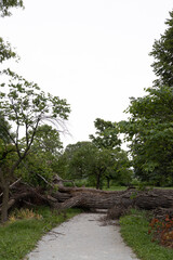 Tornado damage in Forest Park, St. Louis, Missouri after May 16, 2025 tornado