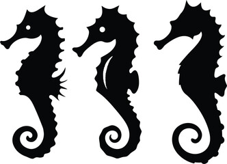 Seahorses silhouette on transparent background. which is a marine animal known for its unique shape and curled tail. Vector clipart illustration design.
