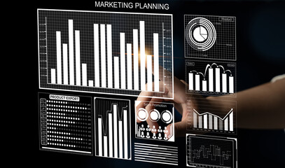 Detailed marketing planning chart featuring various statistical graphs and data visuals, essential for developing effective business strategies and evaluating performance. Impute