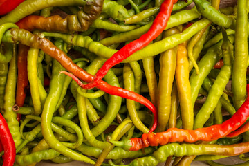 Close-up of fresh chili peppers in various shades of green, yellow, orange, and red. Colorful spicy vegetables background symbolizing heat, flavor, and organic farming.