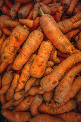 Close-up of freshly harvested dirty carrots with natural earthy texture. Organic root vegetables covered in soil, symbolizing natural farming, harvest, and healthy organic food.