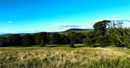 A field of tall grass stretches under a wide, cloudless sky. Distant trees and soft hills cradle...