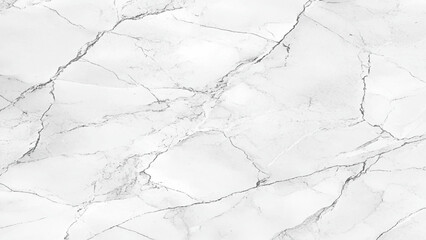 Elegant Stone Surface with Black Veining White Marble