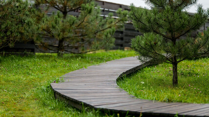 Wooden pathway winds through a lush green garden with trees