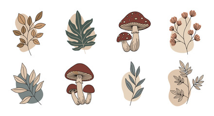 A collection of organic hand-drawn botanical elements and mushrooms with abstract shapes in a muted, earthy color palette, ideal for nature-inspired designs.
