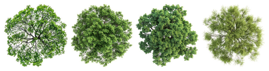 Obraz premium PNG Lush green tree tops variety, element set on transparent background