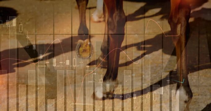 Horses' lower legs appearing from left, trotting across ground with pulsing charts reflecting trend