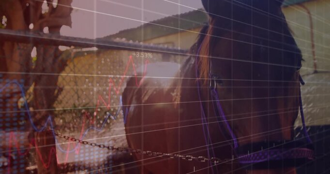 Camera panning showing horse head turning and grid stats fading in sunlight for insight