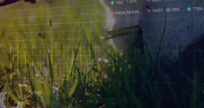 Purple shears appearing from left trimming grass as goat nibbling and overlay showing trends