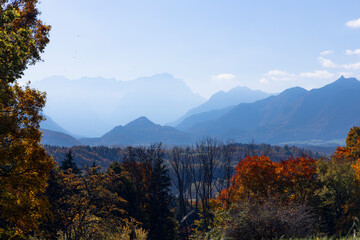 Herbstliches Murnauer Moos