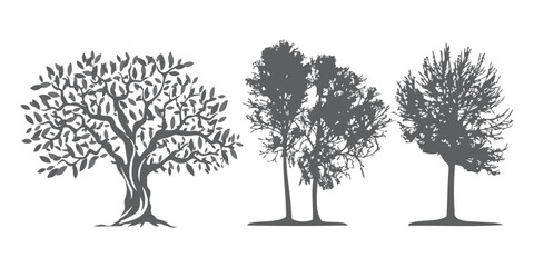 Obraz premium Architectural Drawings, Minimal style cad tree line drawing, Side view, set of section wetland forest outline for landscape design drawing Vector