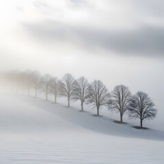 A stark winter scene with a line of bare trees on a snow-covered slope, shrouded in a soft, ethereal fog