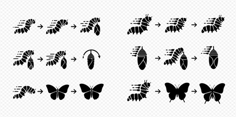 Butterfly life cycle stages: caterpillar, pupa, and butterfly transformation process.