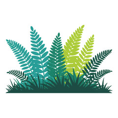 Green and blue fern leaves and grass, isolated on white background