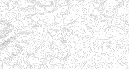 Seamless Geographic Topographic Line Pattern. Minimal Earth Contour Lines Vector Background