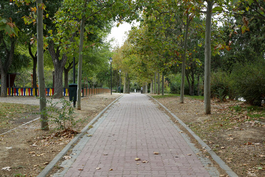 A path between autumn trees that form a corridor of colorful leaves on a ground full of dry leaves in a park in the city of Madrid.
