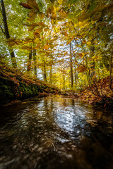 Strumyk jesienią © Izabela&Grzegorz