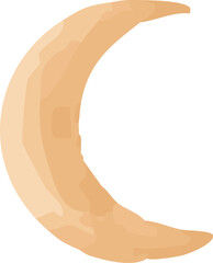 Watercolor Crescent Moon Illustration on White