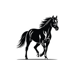 black horse with white background
