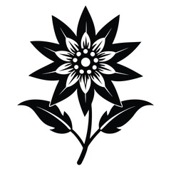 Stylized edelweiss blossom features bold black shapes, defined petals, and detailed center