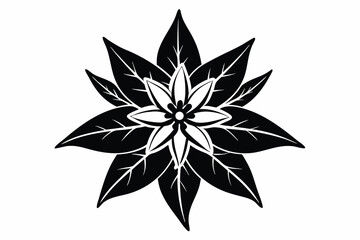 Centered poinsettia flower blossom showcases intricate black outlines with contrasting white petals and delicate leaf venation