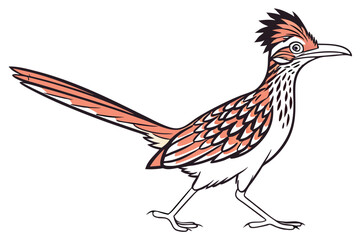 Obraz premium Wild Roadrunner Bird Clean Minimal Vector Illustration