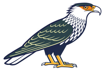 Fototapeta premium Elegant Caracara Bird Vector Artwork on White Background