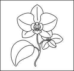 Orchid Path Coloring Page Outline Vector Design – Elegant Floral Garden Illustration for Kids and Adults