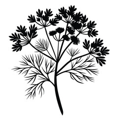 Detailed black botanical silhouette shows flourishing dill plant stems and leaves elegantly on display
