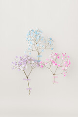 Delicate pastel flowers from floral series in blue, pink, and lilac taped to a light wall, minimal floral composition
