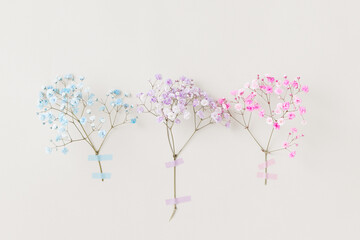 Delicate pastel flowers from floral series in blue, pink, and lilac taped to a light wall, minimal floral composition
