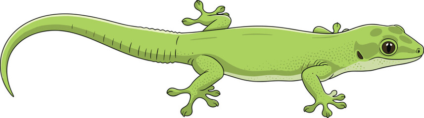 Green gecko, side profile, realistic illustration, reptile anatomy, adhesive toes, long tail, speckled skin, nature study, wildlife art, exotic lizard