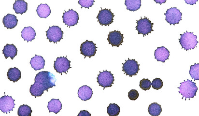 Purple and blue watercolor splashes on white background in varying sizes and patterns.