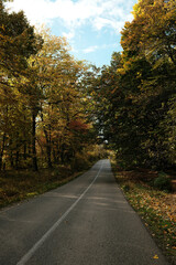 Scenic road surrounded by bright autumn trees in Fruska Gora National Park Serbia, perfect for travel and adventure concepts
