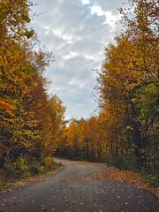 Beautiful autumn view of empty road with leaves falling from colorful trees and blue sky with white clouds. Muntele Rece, Cluj, Romania