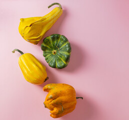 Four textured pumpkins of different shapes on a pastel pink background
