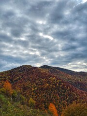 Fototapeta premium Colorful autumn forest mountain with green, yellow, orange and red trees on a cloudy day. Muntele Rece, Cluj, Romania