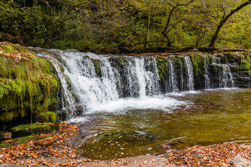 Fototapeta premium Cascading waterfall surrounded by mossy rocks and autumn leaves in Wales