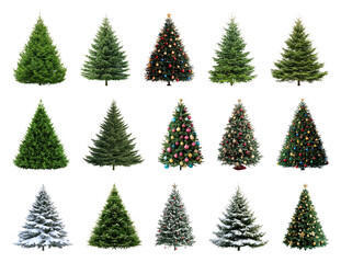 PNG Variety of decorated Christmas trees, element set on transparent background