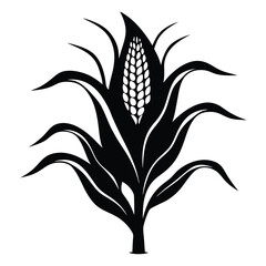 Black silhouette of a corn stalk with leaves and ear showing kernels vector