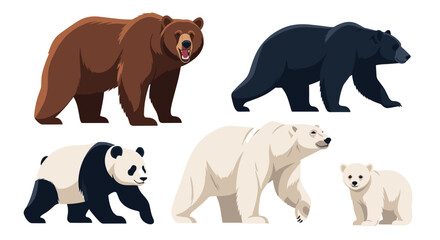 A collection of cartoon bears including brown, black, panda, and polar bears with a cub.