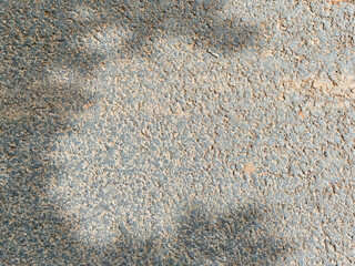 Subtle texture of weathered surface with natural hues and organic shapes in daylight